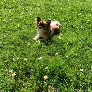 Meet your Posher, Elizabeth